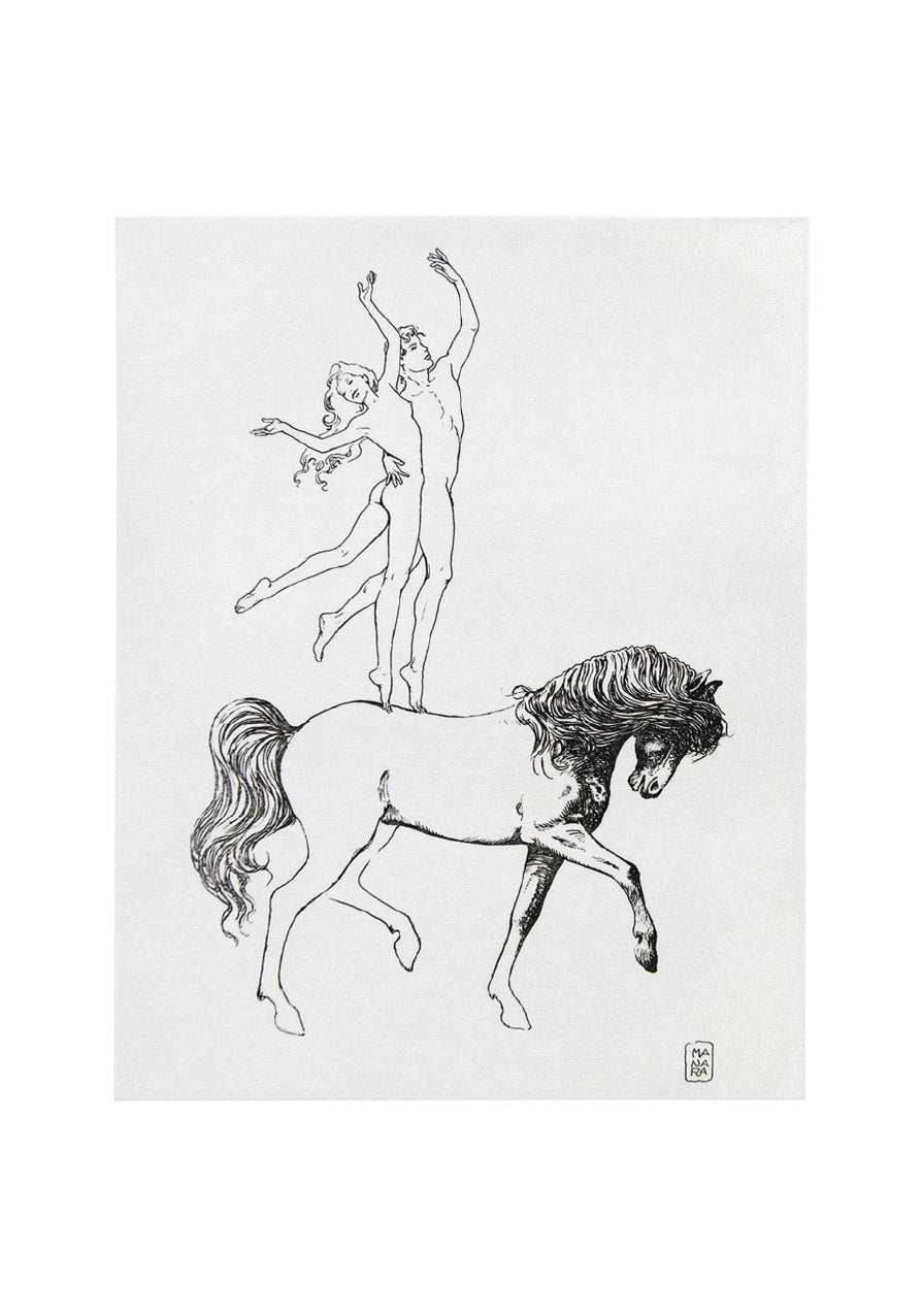 Portfolio Picasso 347 - Grifo Edizioni