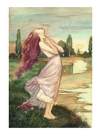 Portfolio Fascinazioni Con Disegno Originale - Grifo Edizioni