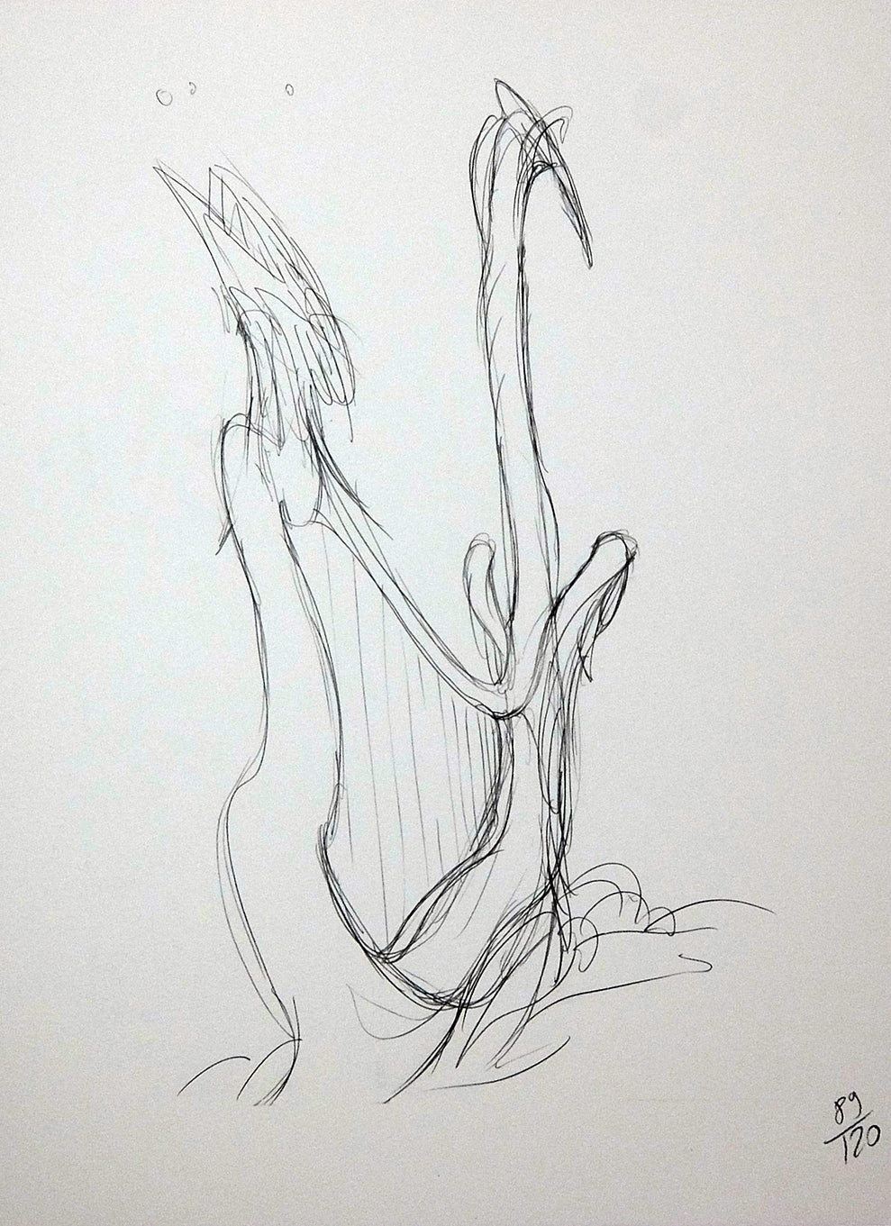 Portfolio Suoni Di Pace - Grifo Edizioni