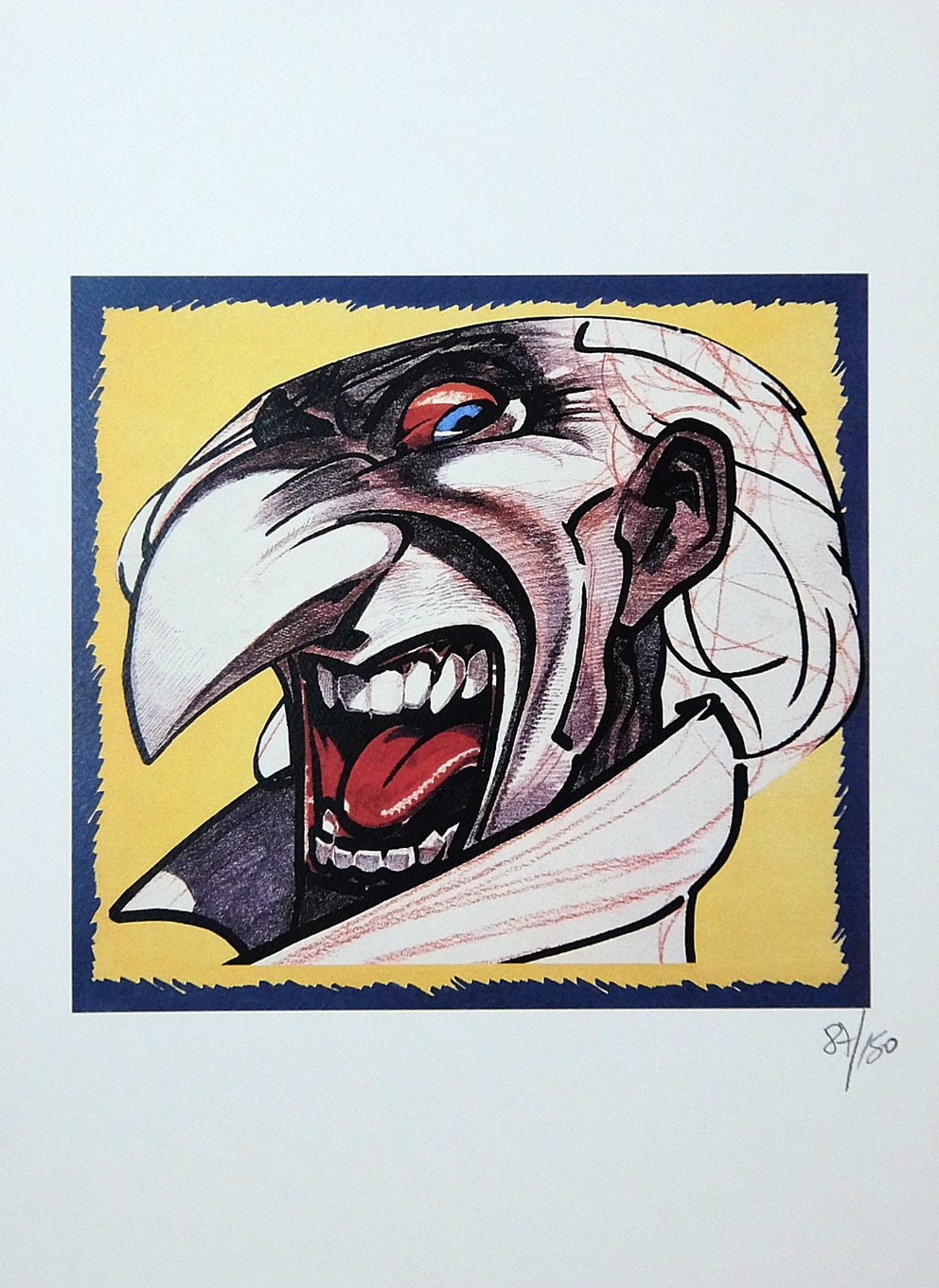 Portfolio Zanardi - Grifo Edizioni