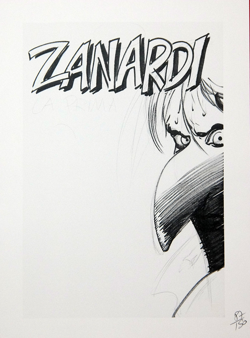 Portfolio Zanardi - Grifo Edizioni