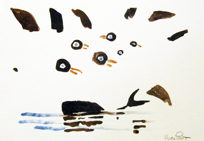 Stampa Operazione Cetacei (Balena) Firmata/ Non Firmata - Grifo Edizioni