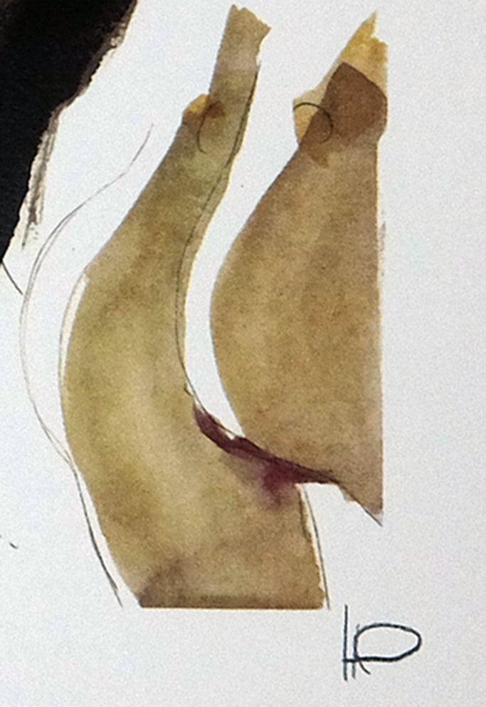 Stampa Siglata Farewell Ladies Fuscaldo Calabria - Grifo Edizioni