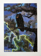 Portfolio Pazienza Poliziano - Grifo Edizioni