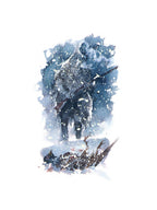 Portfolio Pionieri - Grifo Edizioni