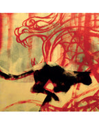 Portfolio Bestiario - Grifo Edizioni