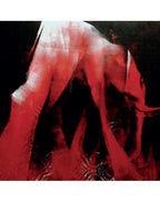 Portfolio Bestiario - Grifo Edizioni