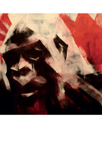 Portfolio Bestiario - Grifo Edizioni