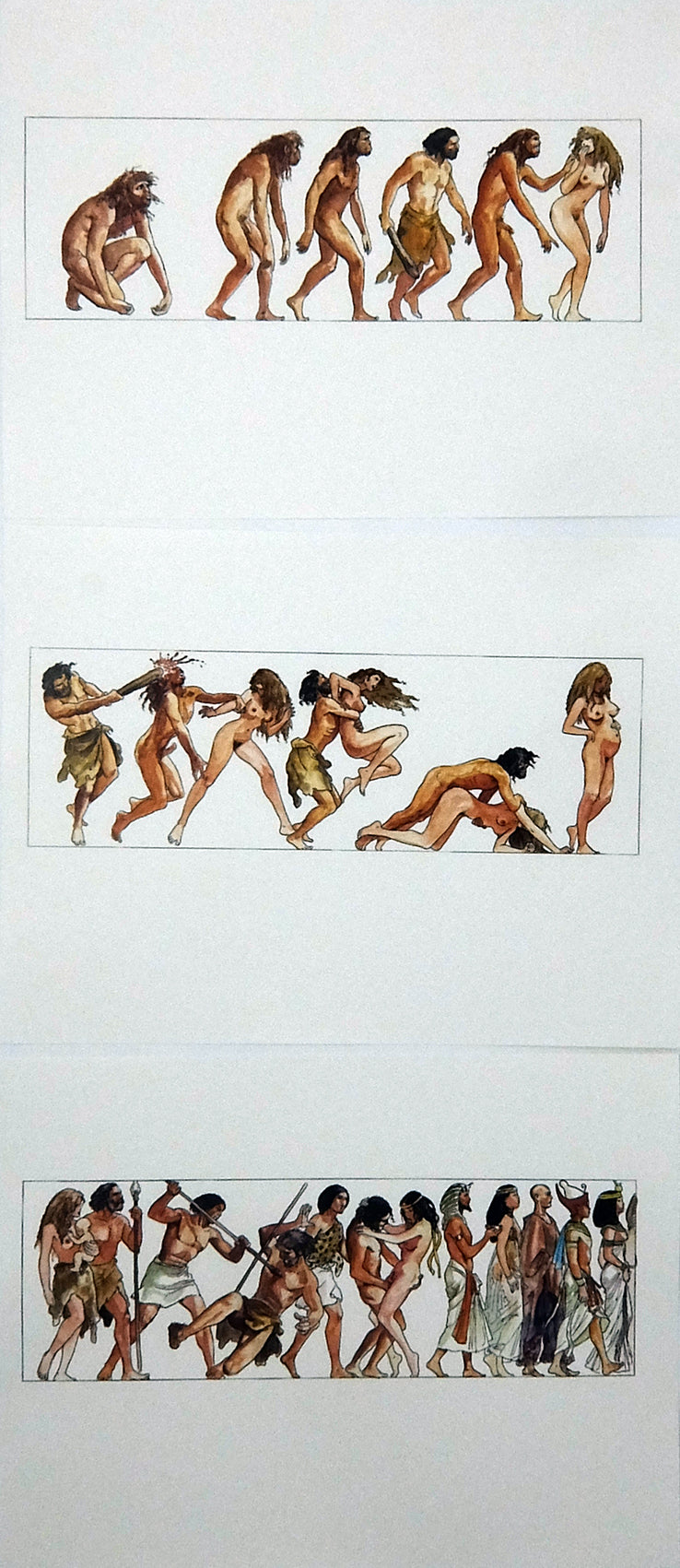 Portfolio Bolero - Grifo Edizioni