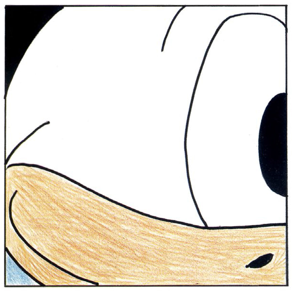 Prototipo Portfolio Paperino non Numerato, Non Firmato Caduto - Grifo Edizioni