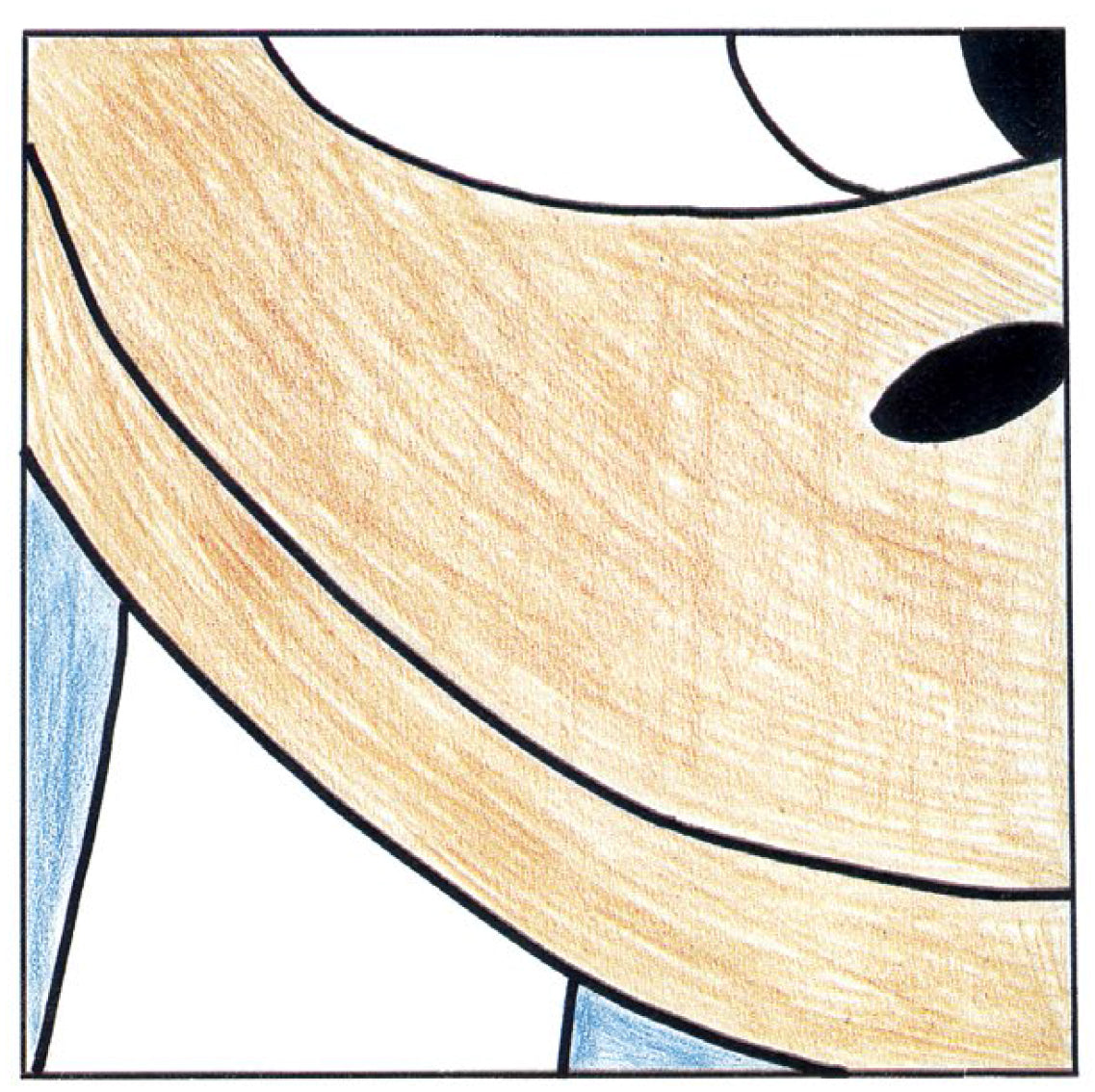 Prototipo Portfolio Paperino non Numerato, Non Firmato Caduto - Grifo Edizioni