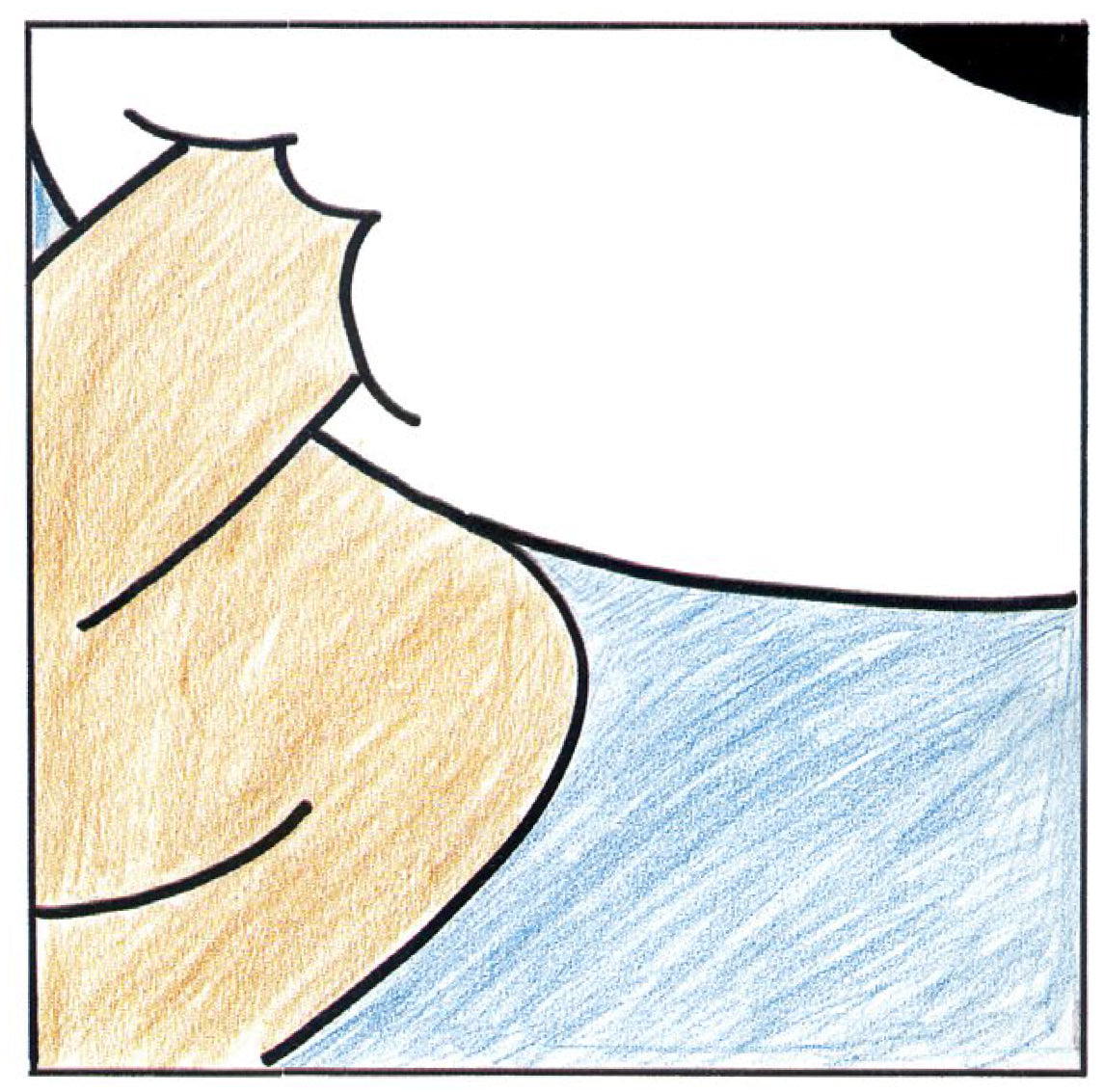 Prototipo Portfolio Paperino non Numerato, Non Firmato Caduto - Grifo Edizioni